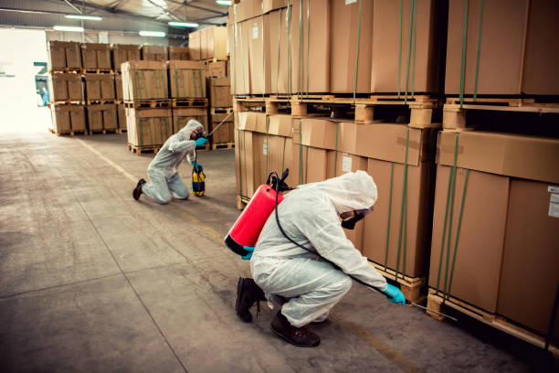 Best Local Pest Control Services  in Robins Af, GA