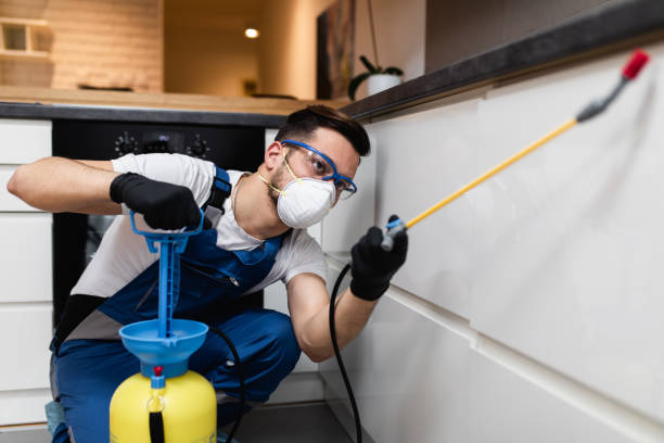 Best Best Pest Control Companies  in Robins Af, GA
