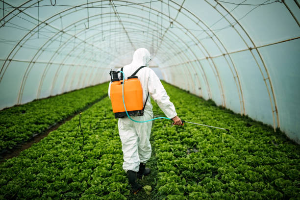 Best Pest Prevention Services  in Robins Af, GA