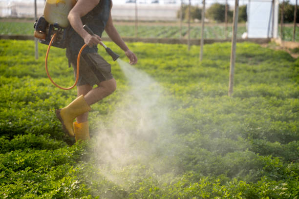 Best Best Pest Control Companies  in Robins Af, GA