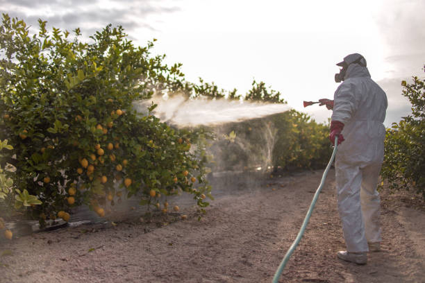 Best Cockroach Control Services  in Robins Af, GA