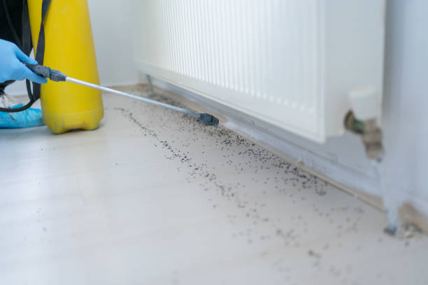 Best Ant Control Services  in Robins Af, GA