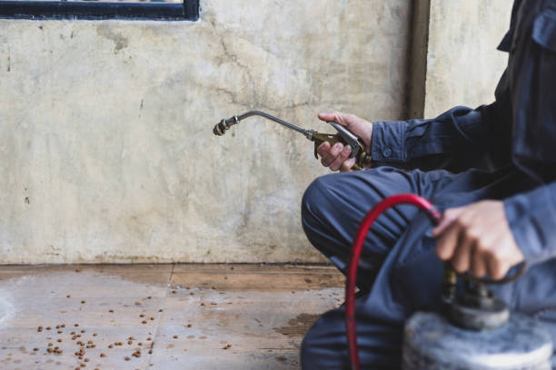 Best Exterminator Services  in Robins Af, GA